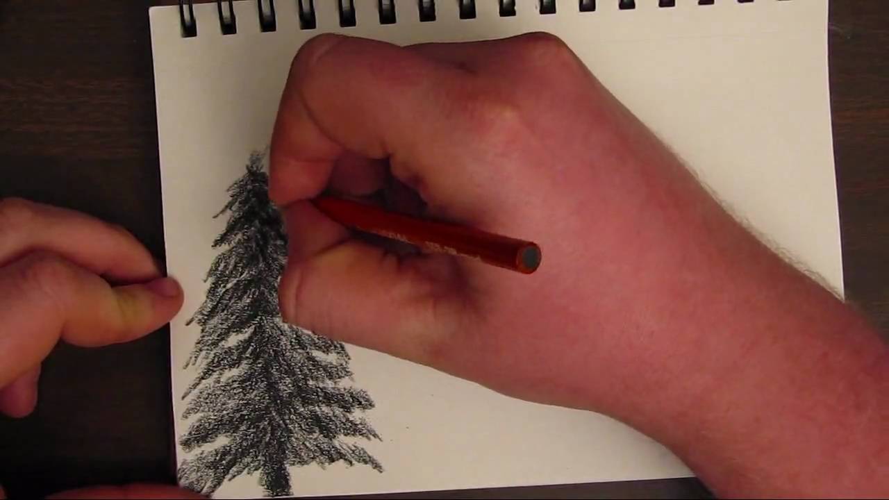 1280x720 How To Draw A Basic Tree - Basic Tree Drawing