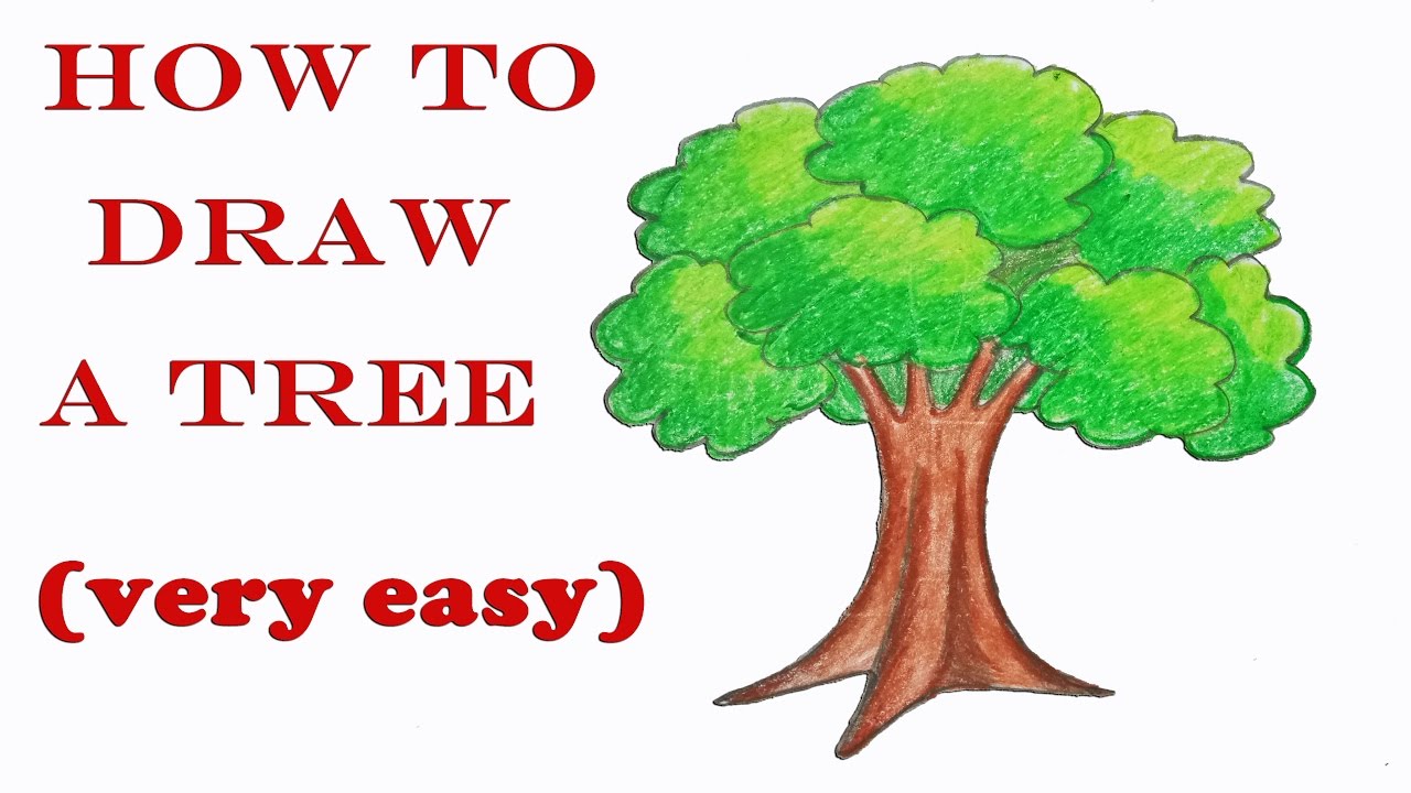 Basic Tree Drawing at PaintingValley.com | Explore collection of Basic ...