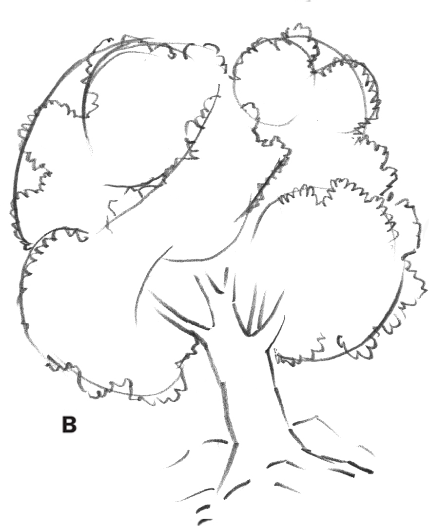 880x1080 Begin With Simple Shapes - Basic Tree Drawing