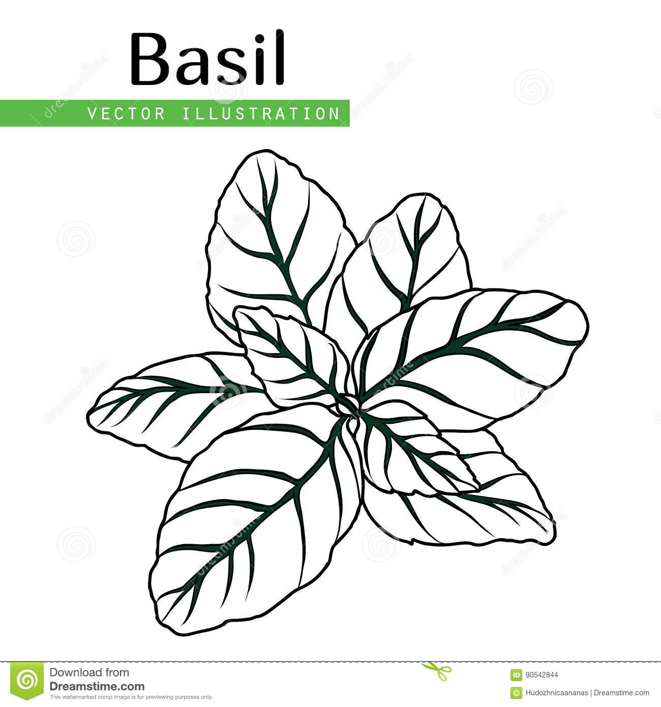1300x1390 basil clipart black and white clip art images - Basil Drawing