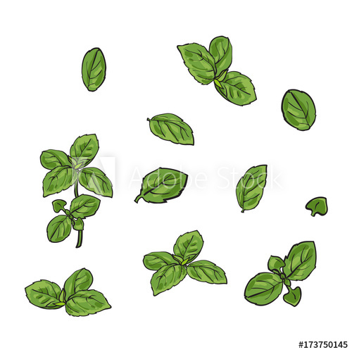 Basil paintings search result at