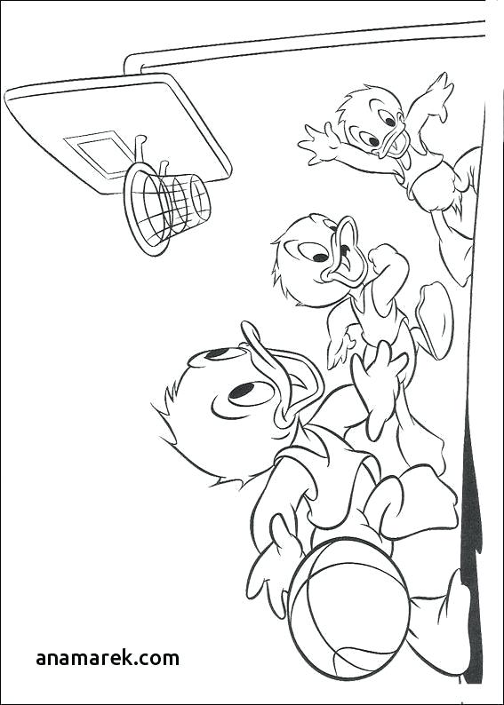 567x794 Basketball Coloring - Basketball Drawing Ideas