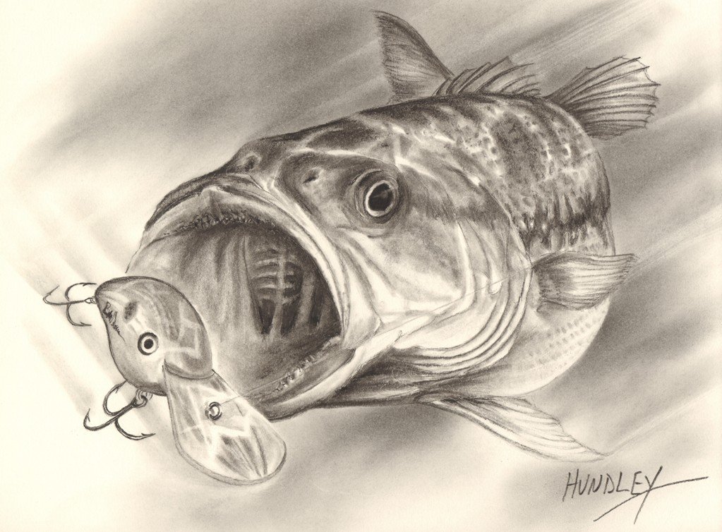 Bass Drawing at PaintingValley.com | Explore collection of Bass Drawing