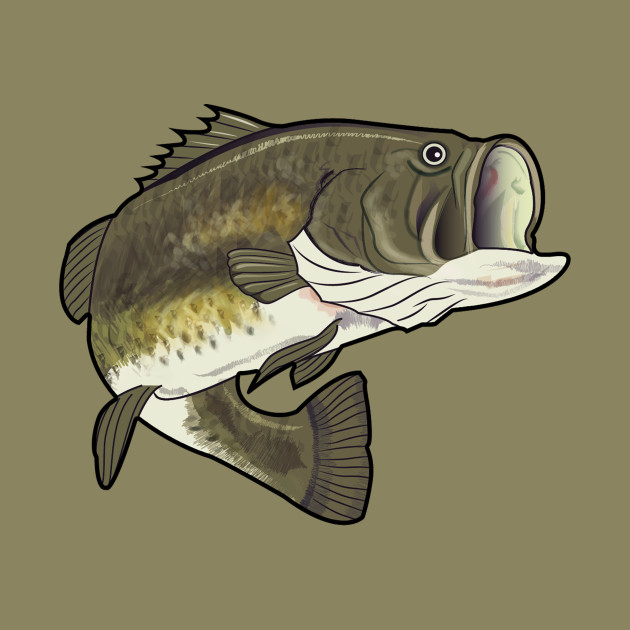 630x630 largemouth bass drawing - Bass Drawing