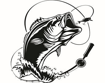 340x270 Bass Fishing Etsy - Bass Fish Drawing