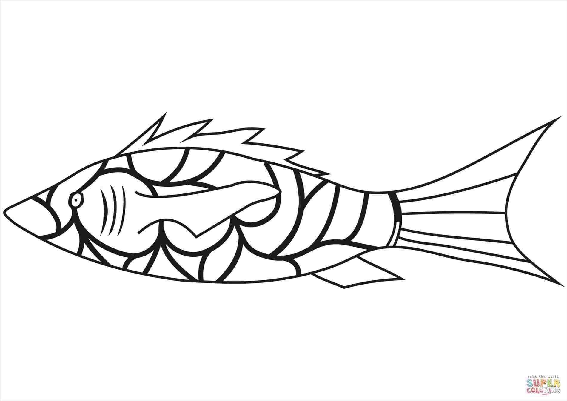 1900x1343 Drawing Easy Pages Color Of Fish Easy Fresh Rainbow - Bass Fish Drawing