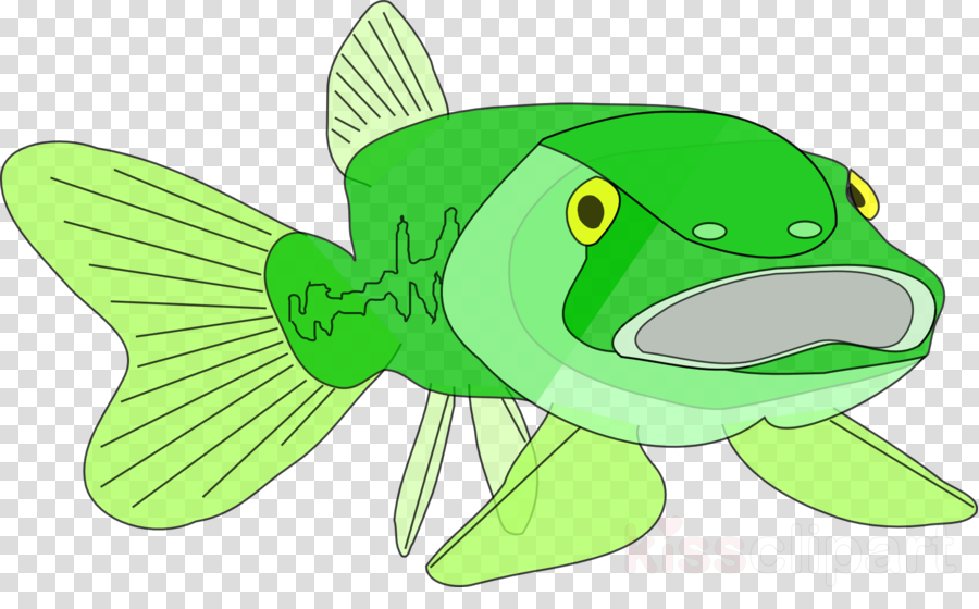 900x560 Fish, Fishing, Drawing, Transparent Png Image Clipart Free Download - Bass Fish Drawing