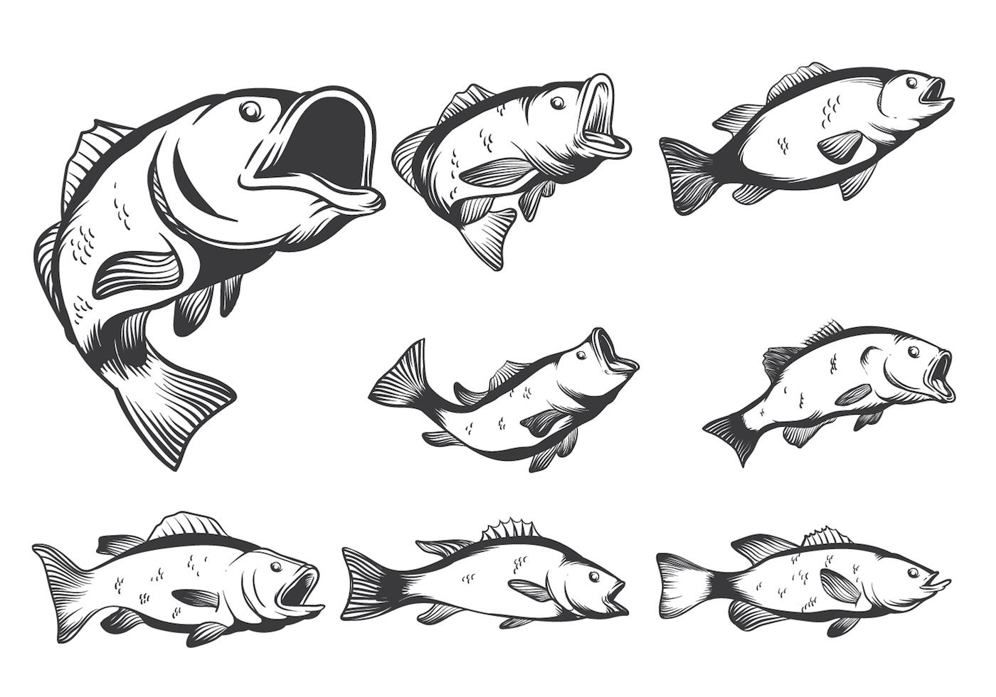1400x980 Hd Bass Fish Vectors Drawing - Bass Fish Drawing