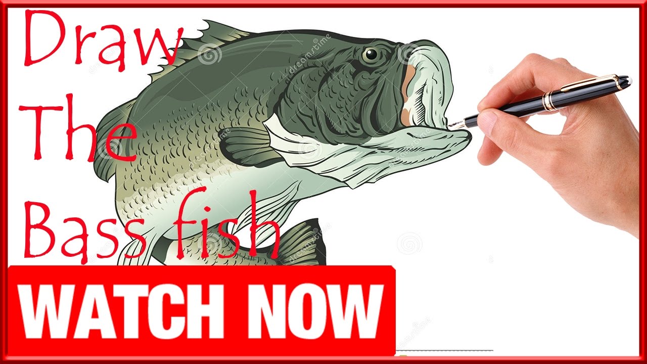 1280x720 How To Draw The Bass Fish - Bass Fish Drawing