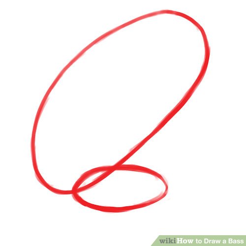 500x500 How To Draw A Bass Steps - Bass Fish Drawing