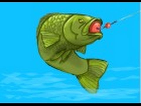 480x360 How To Draw A Bass Fish - Bass Fish Drawing