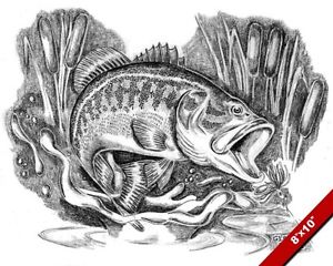 300x240 Largemouth Bass Jumping In Cattails Fish Drawing Art Real Canvas - Bass Fish Drawing
