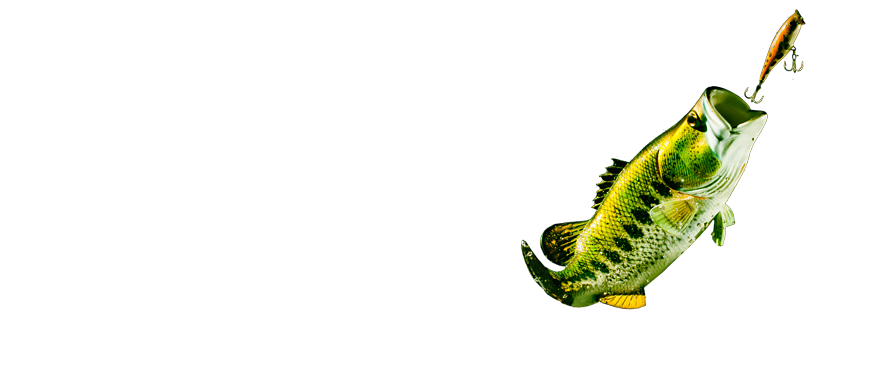 891x373 Masters Of Bass Longform - Bass Fish Drawing