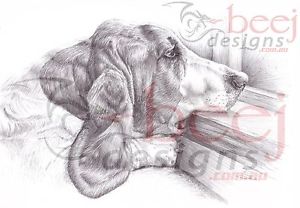 300x208 basset hound drawing - Basset Hound Drawing