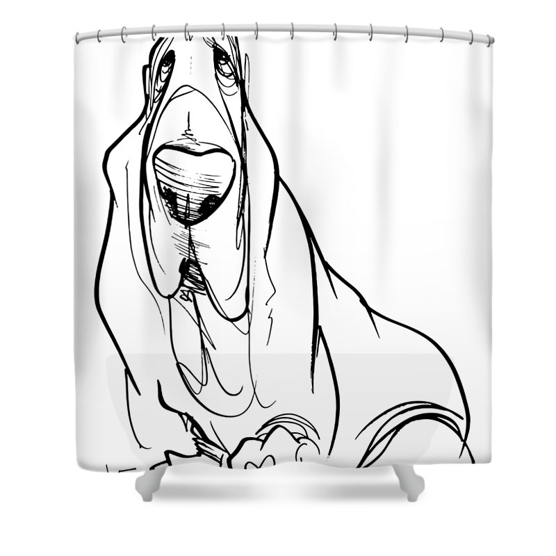 800x800 basset hound gesture sketch shower curtain for sale - Basset Hound Drawing