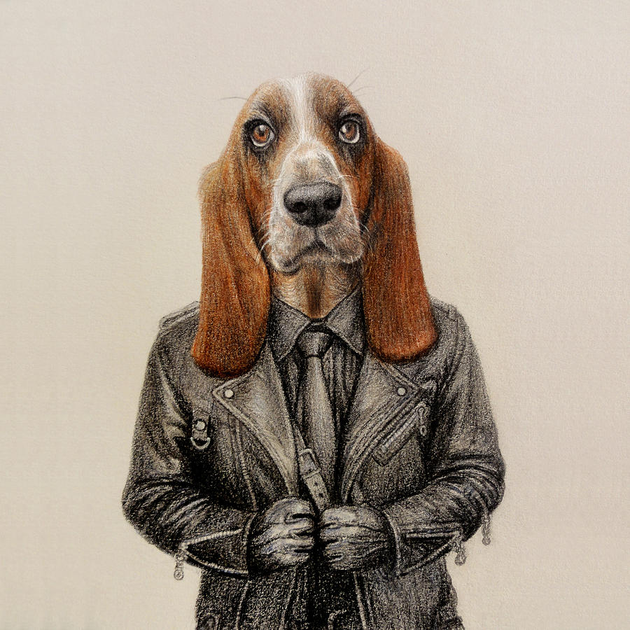 900x900 cool basset hound in leather drawing - Basset Hound Drawing