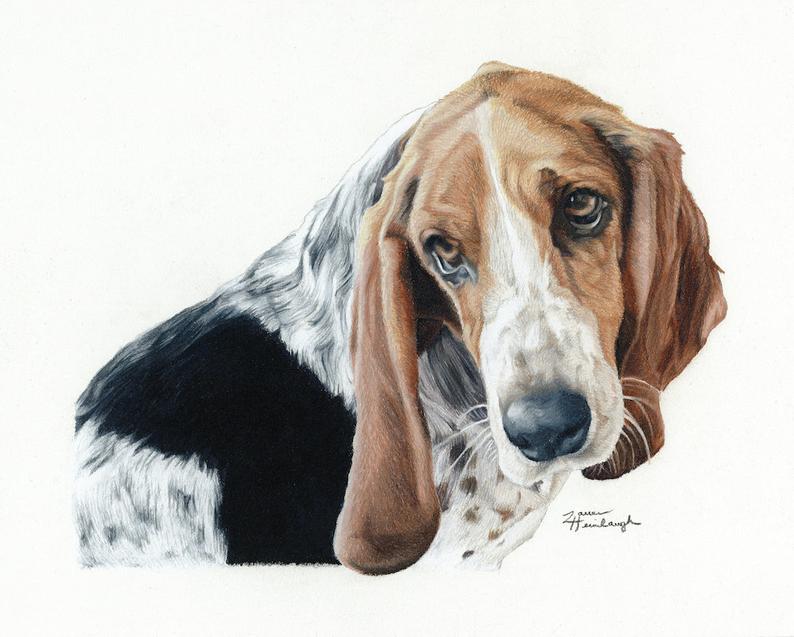 794x637 greeting card of basset hound drawing etsy - Basset Hound Drawing