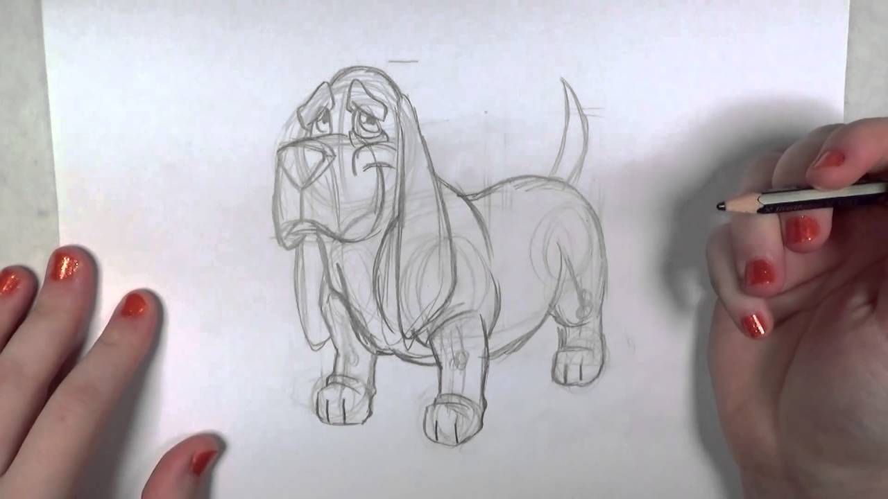 1280x720 how to draw a cartoon basset hound for kids - Basset Hound Drawing