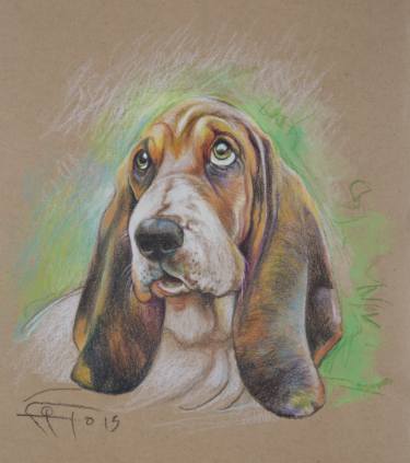 375x423 basset hound drawing - Basset Hound Drawing
