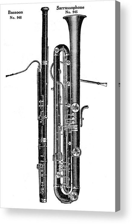 437x740 bassoon and sarussophone acrylic print - Bassoon Drawing