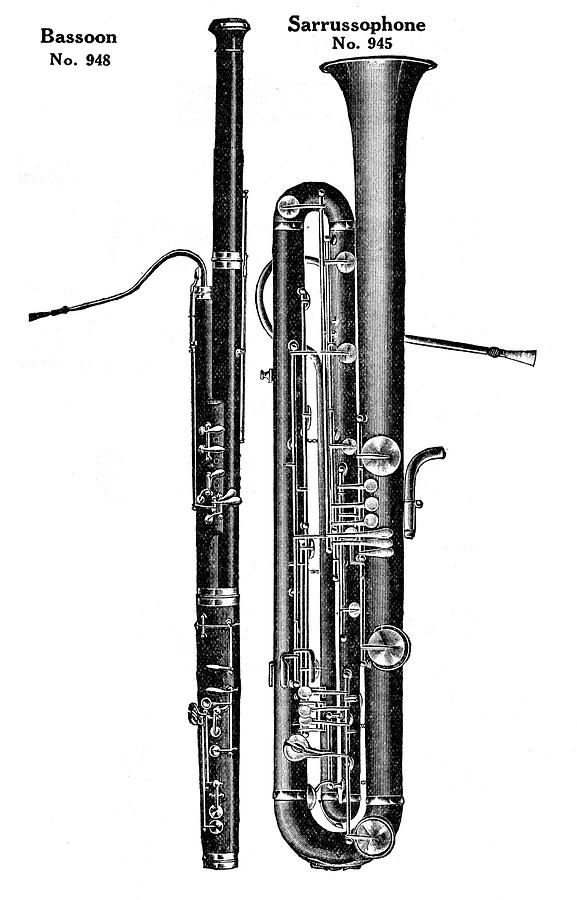 Bassoon Drawing at Explore collection of Bassoon