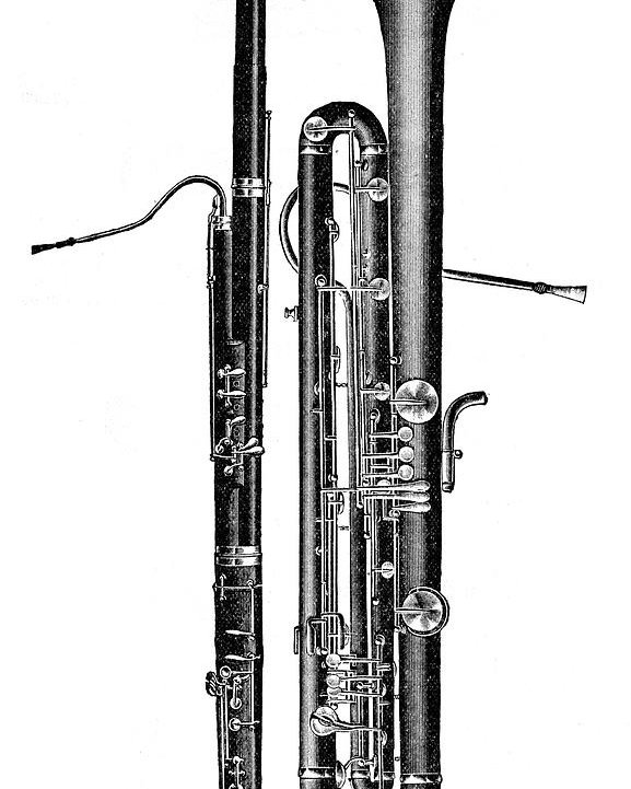 Bassoon Drawing at Explore collection of Bassoon