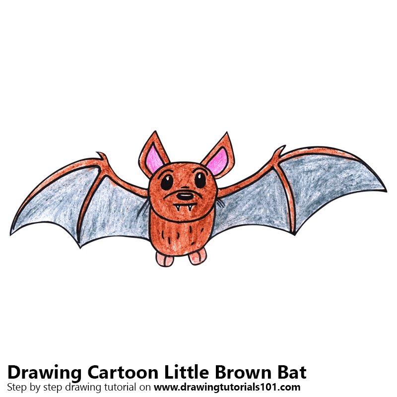 800x800 Learn How To Draw A Cartoon Little Brown Bat - Bat Cartoon Drawing