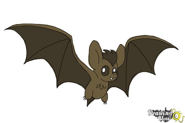 600x400 How To Draw A Bat Step - Bat Drawing