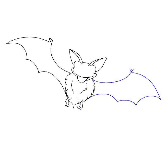 678x600 How To Draw A Bat In A Few Easy Steps Easy Drawing Guides - Bat Drawing