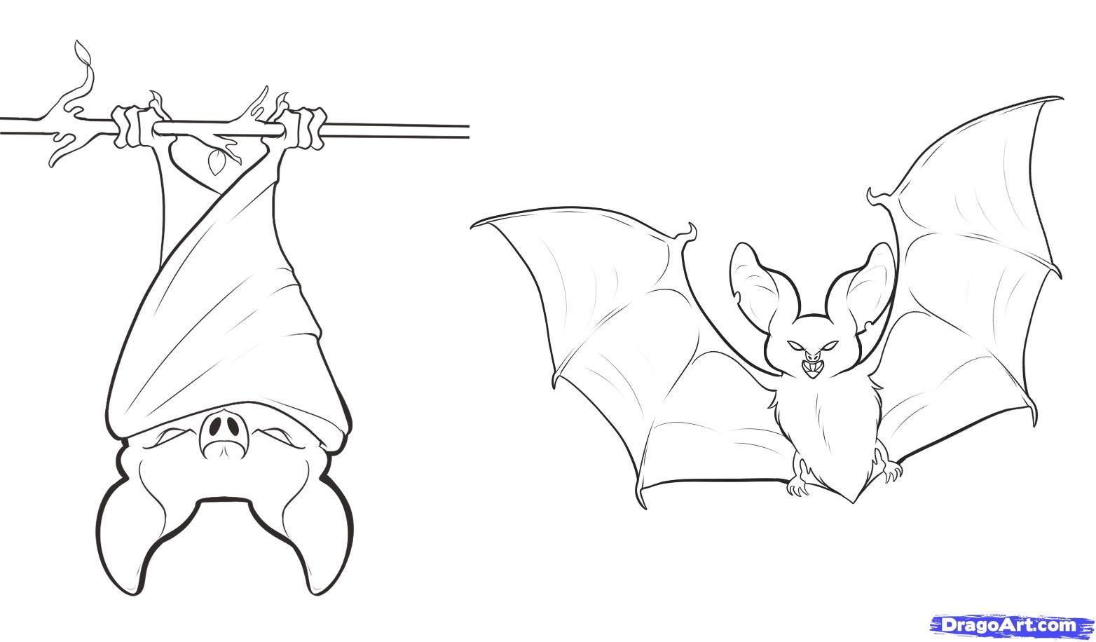 1564x916 how to draw bats bat for preschool halloween - Bat Drawing