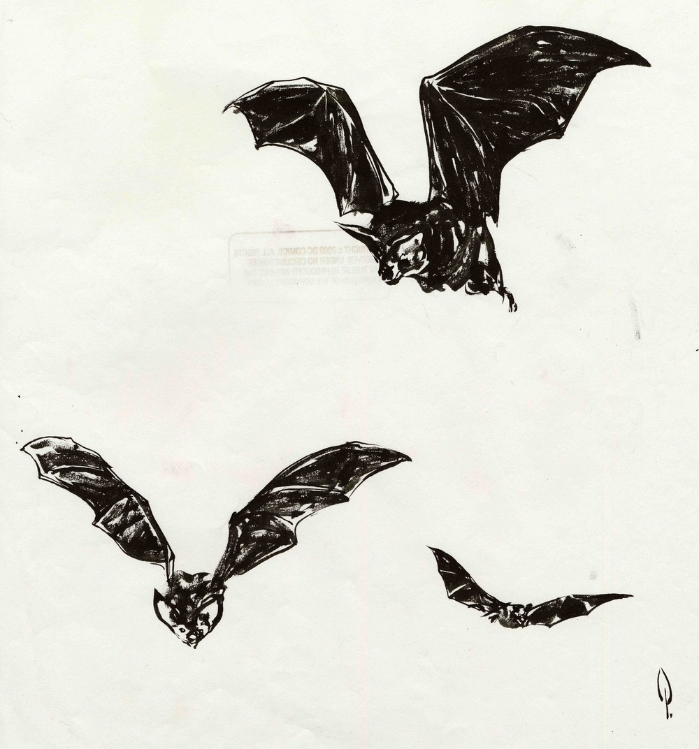 Bat Drawing at PaintingValley.com | Explore collection of Bat Drawing