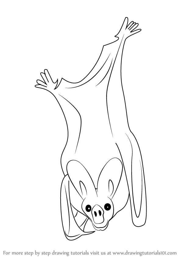 594x844 learn how to draw a greater false vampire bat - Bat Drawing Easy