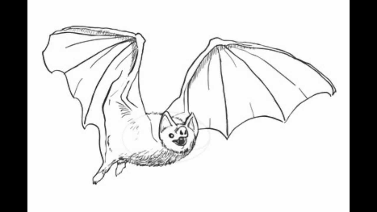 1280x720 How To Draw A Bat Step - Bat Drawing Images