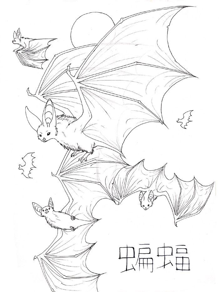700x934 bats outline - Bat Drawing Outline