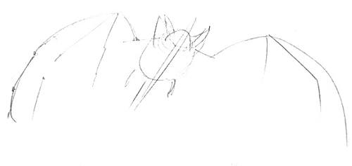 500x237 How To Draw A Bat - Bat Drawing Outline
