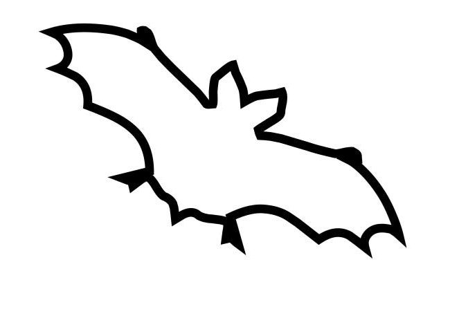 650x460 Huge Collection Of 'line Drawing Of A Bat' Download More Than - Bat Drawing Outline