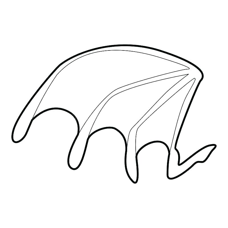 800x800 Bat Stencil Outline - Bat Drawing Outline