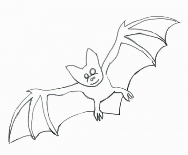 600x493 Bat Drawing Outline At Getdrawings Com Best Coloring Collection - Bat Drawing Outline