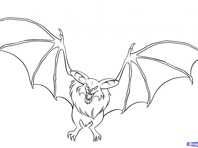 640x480 Drawn Bat Face - Bat Face Drawing