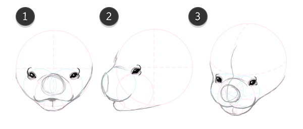 600x256 how to draw animals bats - Bat Face Drawing