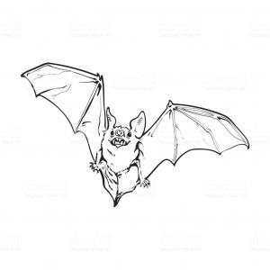300x300 Scary Flying Halloween Vampire Bat Isolated Sketch Style Vector - Bat Face Drawing