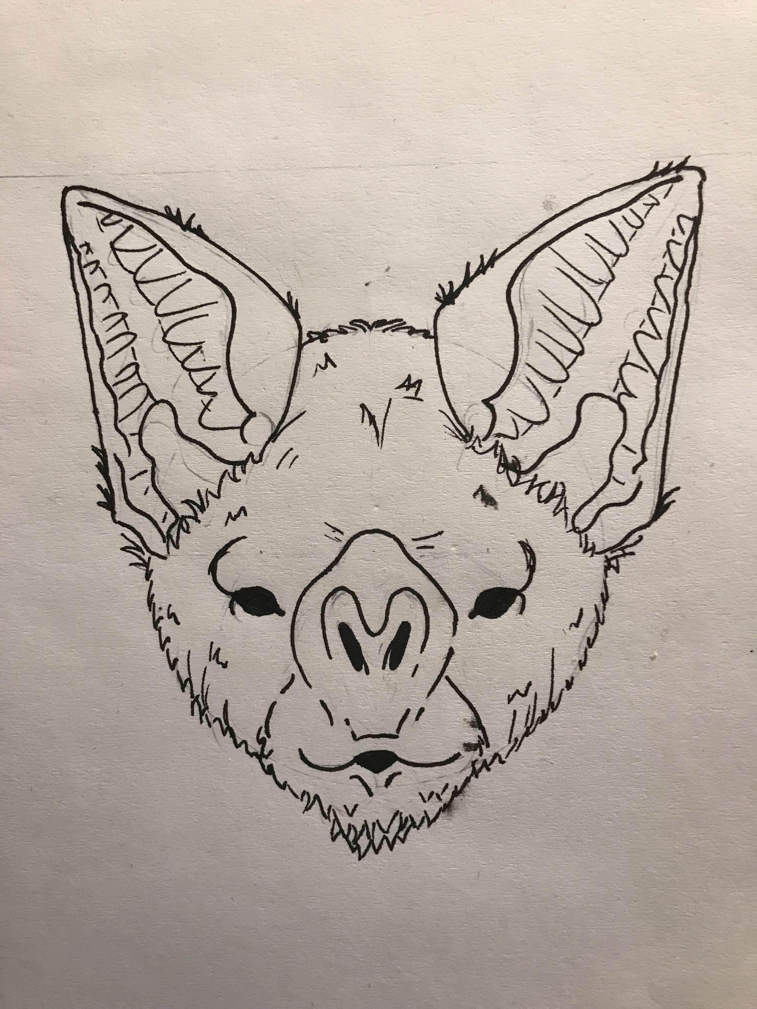 3024x4032 Bat Face Drawing Batty - Bat Face Drawing