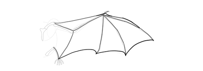 Bat Line Drawing At Paintingvalley Com Explore Collection