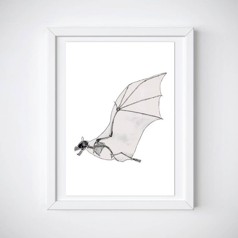 794x794 Bat Skeleton Print Animal Anatomy Scary Wings Halloween Etsy - Bat Skeleton Drawing