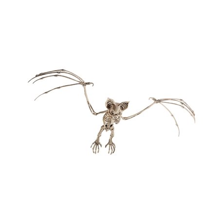 458x458 Bat Skeleton Prop - Bat Skeleton Drawing