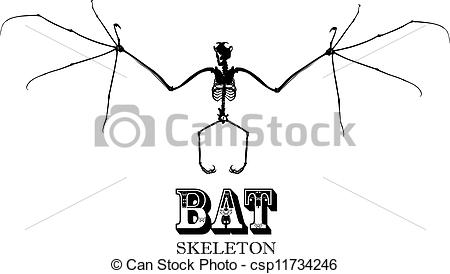 450x274 Bat Skeleton In Black And White - Bat Skeleton Drawing