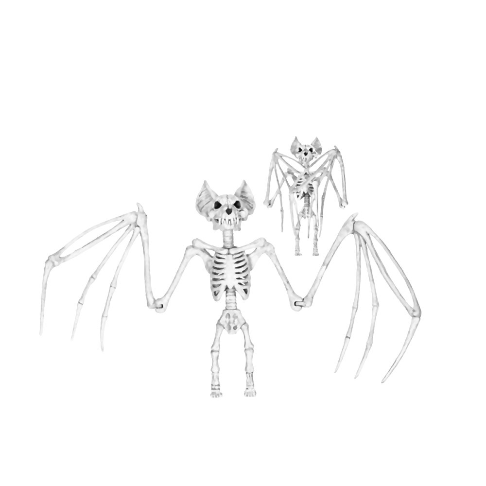 Bat Skeleton Drawing at Explore collection of Bat