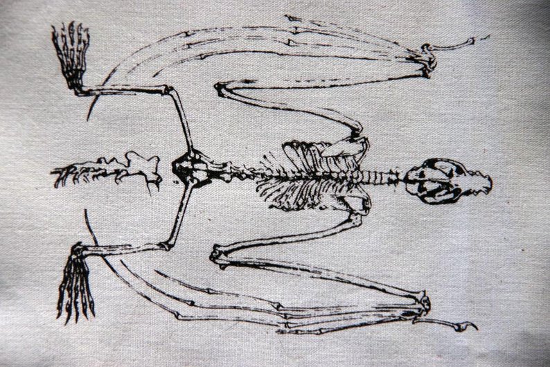 794x530 Screenprint Bat Skeleton Patch Etsy - Bat Skeleton Drawing