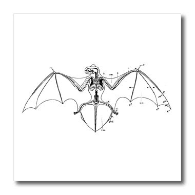 380x380 Bat Skeleton Black And White Iron On Heat - Bat Skeleton Drawing