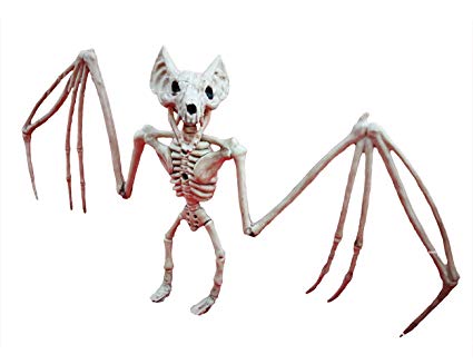 425x327 Shiyiup Scary Animal Bat Bones Simulation Skeleton Party Halloween - Bat Skeleton Drawing
